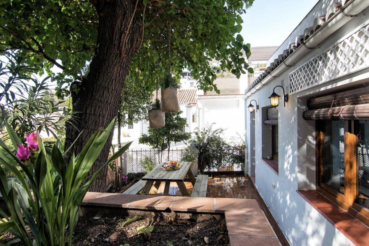 グラナダLa Casita Del Albaicinアパートメント エクステリア 写真