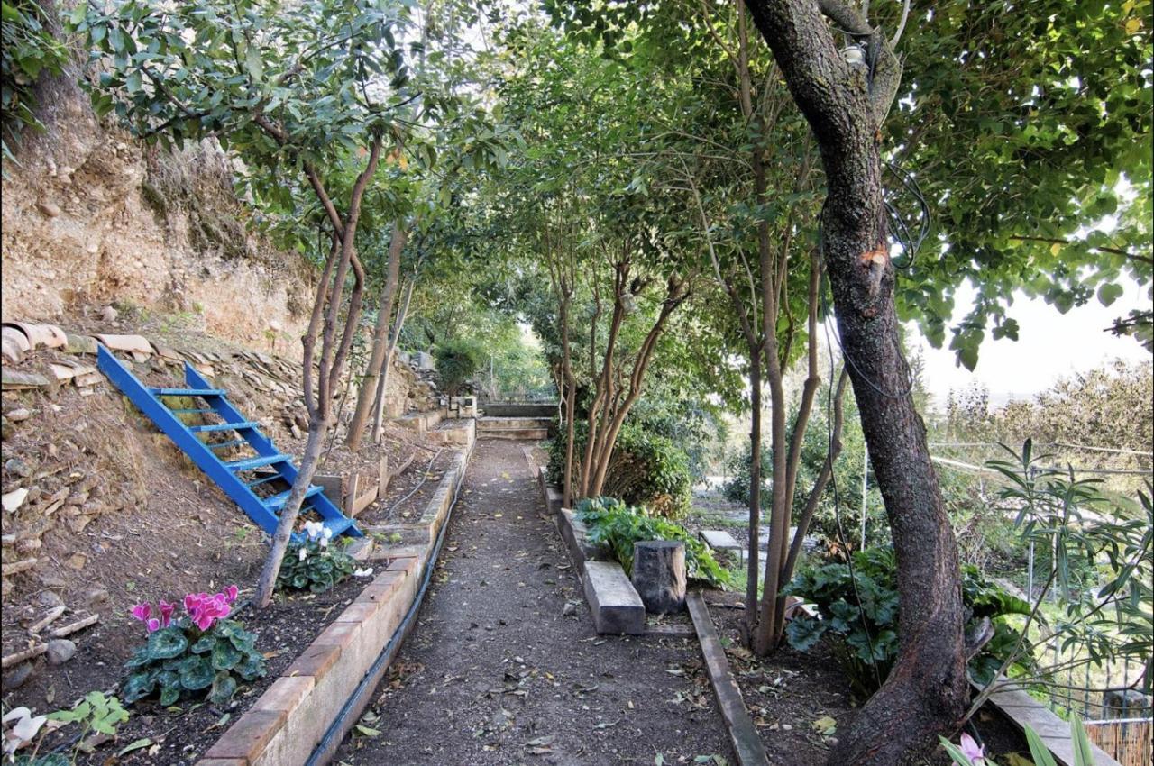 グラナダLa Casita Del Albaicinアパートメント エクステリア 写真